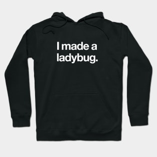 I made a ladybug Hoodie